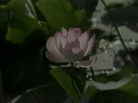 Ом мани падме хум