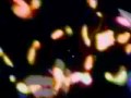 VJ Mission - Neon Elegans (New Visual Remix)