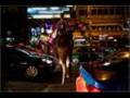 videos de Homeless Elephants