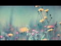 Phaeleh - In The Twilight