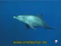 Tauchen Tiefseetauchen