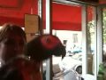 videos de parrot dancing to drop the lime tabac theme at sake bar