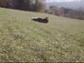 clip video Cabestan Faut Avoir Du Courage