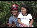 Apple Picking (Video)