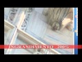 Guarda
