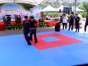 中華武術散打搏擊協會2008K-1優勝《排灣勇者》楊東雄，2007北京格鬥優勝《格鬥小天王》范仲杰率本會黑、褐帶好手黃國洋、鄭宇哲、張傑、阿岳、阿倫等做散打搏擊系列精采展演