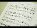 Theme from Piano Sonata K. 331 (W.A. Mozart) Theme from Piano Sonata K. 331 (W.A. Mozart)