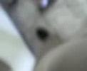 Eeeta Boo Ratasigma Mmm Daparrrr.- Limpiando La Skool Eeeta Boo Ratasigma Mmm Daparrrr.- Limpiando La Skool
