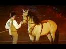 Hasta Luego - SPECTACLE EQUESTRE - TABLEAU Printemps