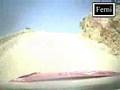 WRC Highlights - Rally Jordania 2008