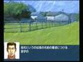 videos de Dreamcast (Jap.) - Dabitsuku