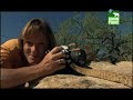 Austin Stevens: Snakemaster vol.1 Austin Stevens: Snakemaster vol.1
