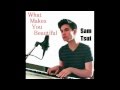 What Makes You Beautiful (Cover) Sam Tsui.wmv