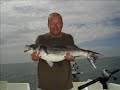 Bass Fishing Poole Bay Dorset