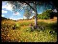 k-fee commercial #6