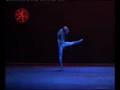 videos de Presentation of Michal Stipa