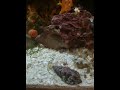 IMG_2038[1].MOV