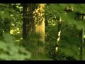 videos de Videopoem Opening with John Doe melody...