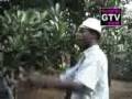 videos de KICHECHE 4 TZ MOVIE