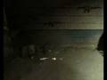videos de Farcry 2:how to regenerate a gold ak-47