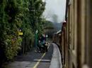 1Z74 16:15 Aberystwyth to Ealing Broadway 37405 &37422