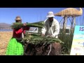 peruurlaub.net Urlaub in Peru, Der Titicaca See liegt auf einer aus mehreren Becken bestehenden HochflÃƒÆ'Ã†â€™Ãƒâ€šÃ‚Â¤che, die als Altiplano bezeichnet wird.