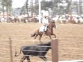 rodeio crioulo da lapa
