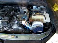 DODGE SUPERCHARGED CHARGER,Challenger,MAGNUM,Chrysler 300 C, V-6 Engines DODGE SUPERCHARGED CHARGER,Challenger,MAGNUM,Chrysler 300 C, V-6 Engines