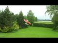 Acromaster in the garden