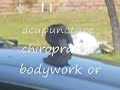 Have You Been a Victim of Bad Bodywork?