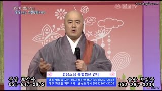 법담스님 - 고통을 잊으려면 집착을 버려라