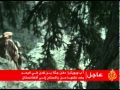 أسامة بن لادن ..سيرة القاعدة زعيمآ وتنظيمآ