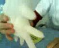 zivildienst-das-zivimonster-teil-1.html