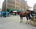 In Bruges: a walk around Market Square