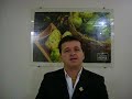Semin�rio Online 22/9 - 20h30  www.fabricadediamantes.com.br