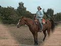 Halsring reiten Halsring reiten