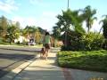 videos de Dog Training How To Train Your Dog Video Membership
