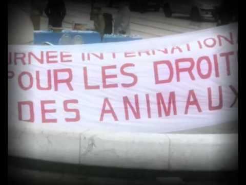 Image de prévisualisation YouTube