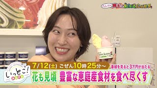 いっとこ！みんテレ
