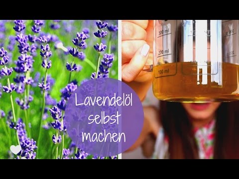 Lavendelöl selbst machen