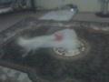 VID 00008.3GP