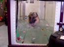 isai treadmill 1 isai treadmill 1