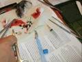 Hamster operation by a nephrologist