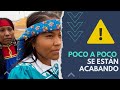 Tarahumaras de Chihuahua