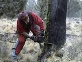 Oregon Surveying