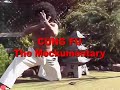 cung fu the mockumentary