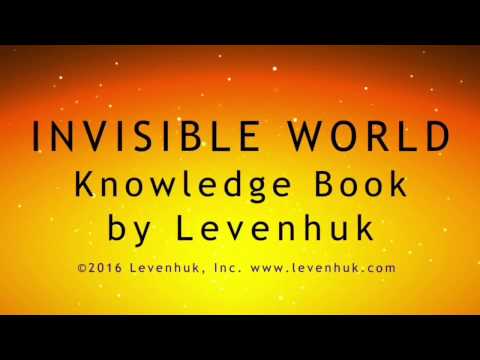 Levenhuk review: Invisible World. Knowledge book