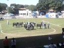 Girolando - f�meas jovens 58.wmv
