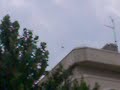 OZN in Braila