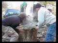 fendeuse vs chene: part 2 fendeuse vs chene: part 2